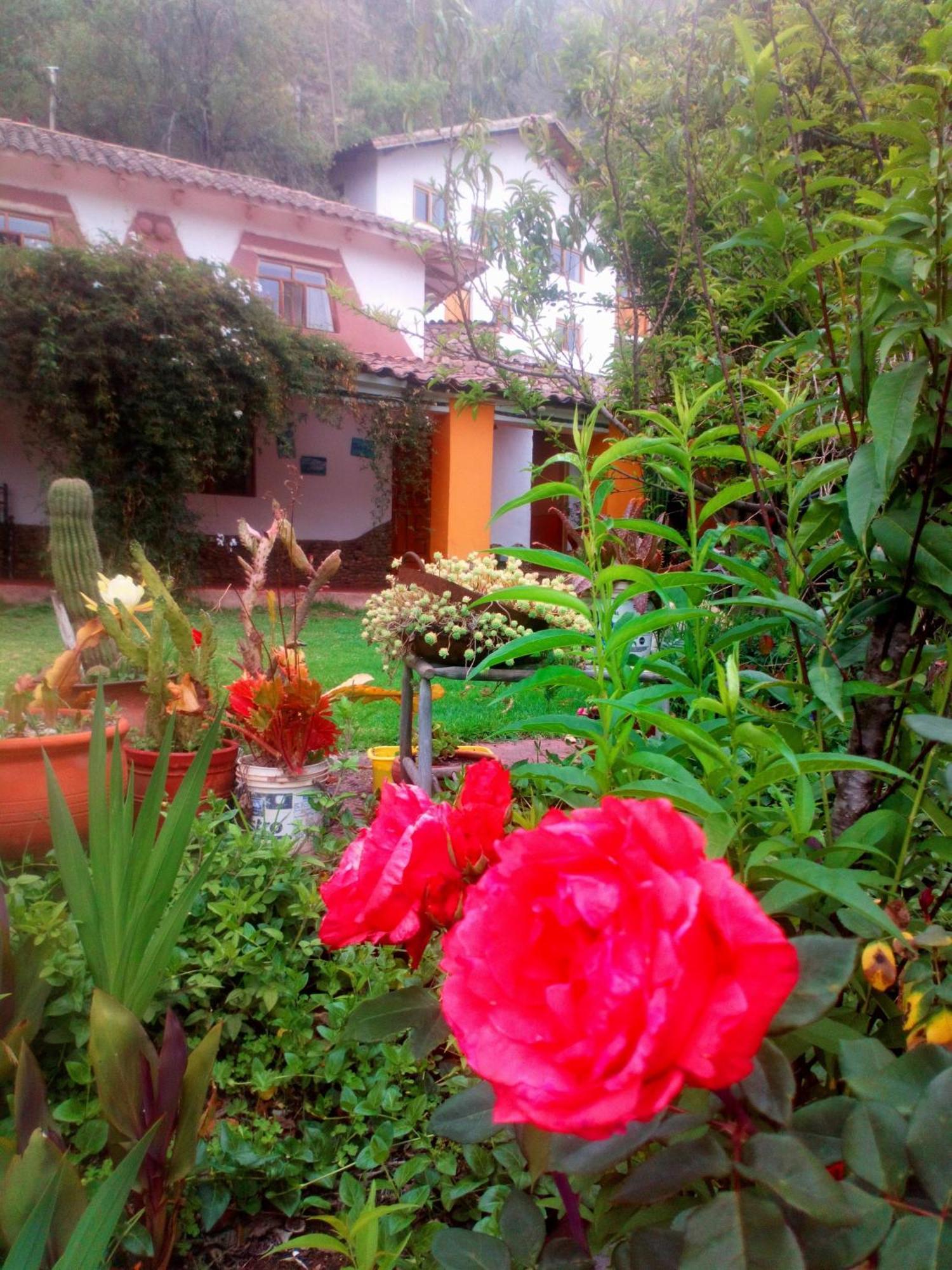 Ecolodge Ccatan Urubamba Luaran gambar