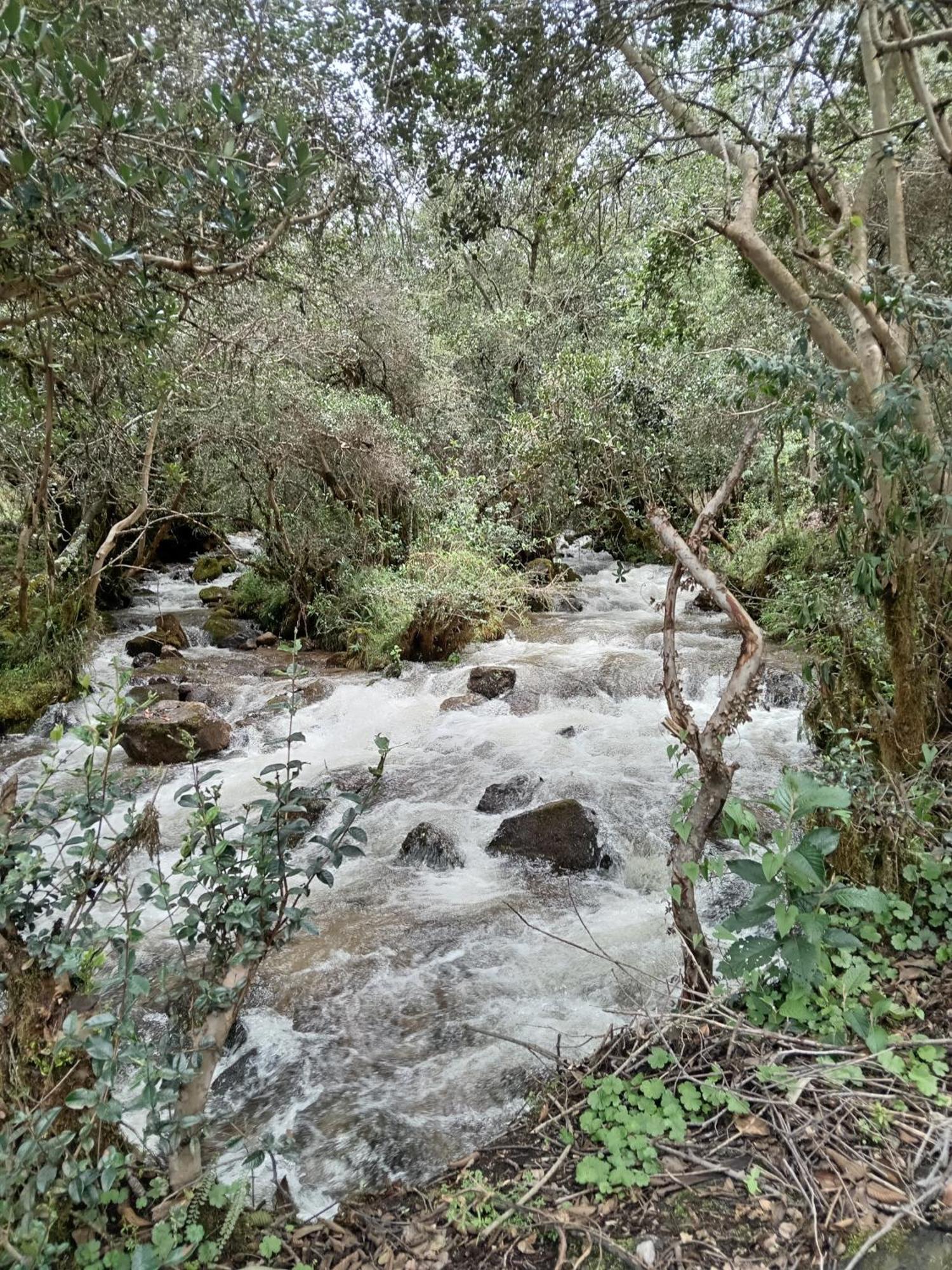 Ecolodge Ccatan Urubamba Luaran gambar